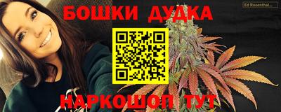стаф Моздок