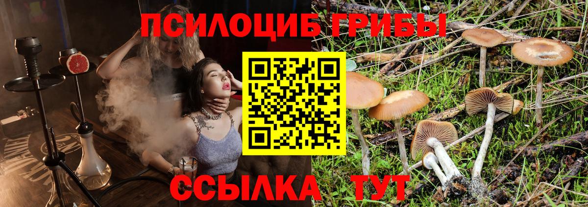 Псилоцибиновые грибы Magic Shrooms Видное