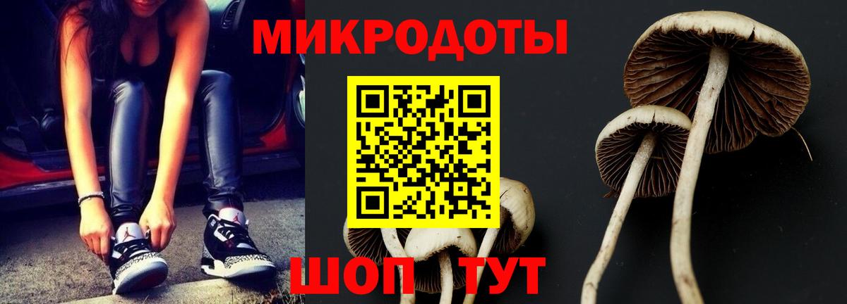 Галлюциногенные грибы ЛСД  Вход с VPN  Видное  хочу наркоту  Псилоцибиновые грибы прущие грибы 